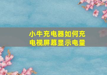 小牛充电器如何充电视屏幕显示电量