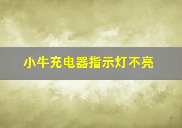 小牛充电器指示灯不亮