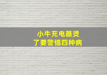 小牛充电器烫了要警惕四种病