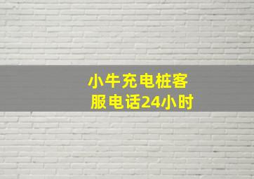 小牛充电桩客服电话24小时