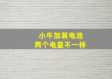 小牛加装电池两个电量不一样