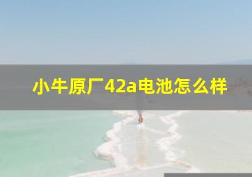 小牛原厂42a电池怎么样