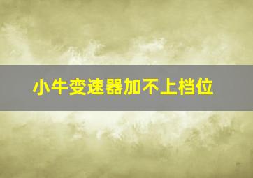 小牛变速器加不上档位