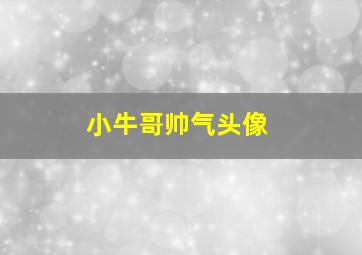 小牛哥帅气头像