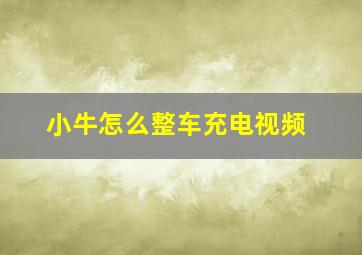 小牛怎么整车充电视频