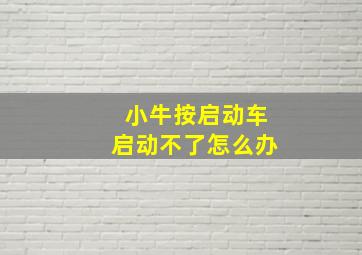 小牛按启动车启动不了怎么办