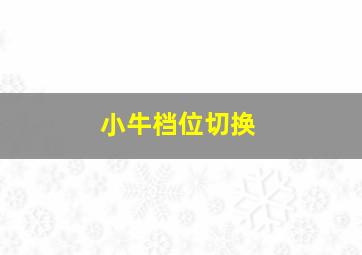 小牛档位切换