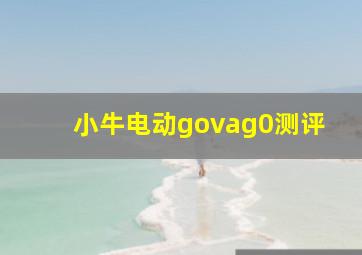 小牛电动govag0测评