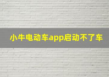 小牛电动车app启动不了车