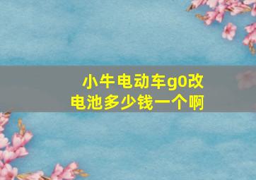 小牛电动车g0改电池多少钱一个啊