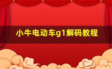 小牛电动车g1解码教程