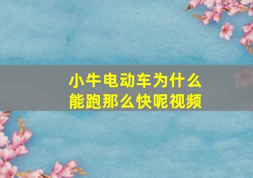 小牛电动车为什么能跑那么快呢视频