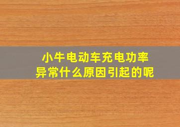 小牛电动车充电功率异常什么原因引起的呢