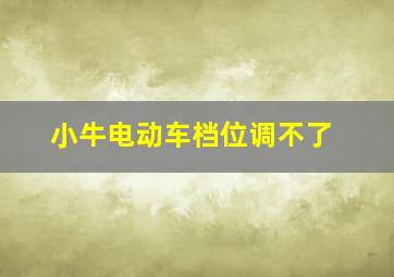 小牛电动车档位调不了