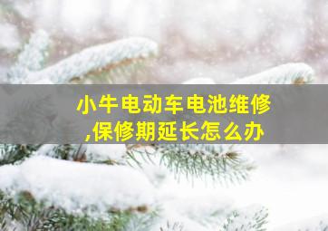 小牛电动车电池维修,保修期延长怎么办