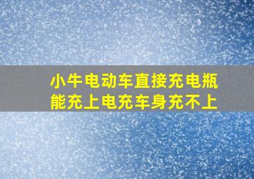 小牛电动车直接充电瓶能充上电充车身充不上