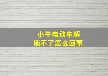 小牛电动车解锁不了怎么回事