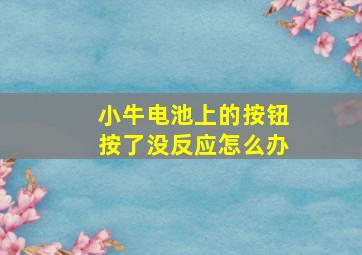 小牛电池上的按钮按了没反应怎么办