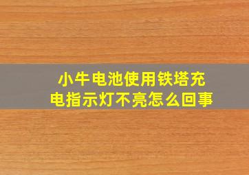 小牛电池使用铁塔充电指示灯不亮怎么回事