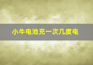 小牛电池充一次几度电