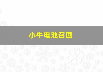 小牛电池召回