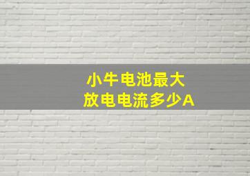 小牛电池最大放电电流多少A