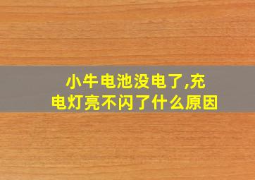 小牛电池没电了,充电灯亮不闪了什么原因