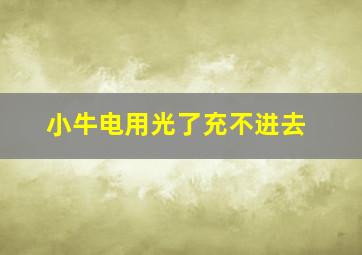 小牛电用光了充不进去