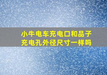 小牛电车充电口和品子充电孔外径尺寸一样吗