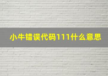 小牛错误代码111什么意思