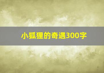 小狐狸的奇遇300字