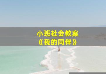 小班社会教案《我的同伴》