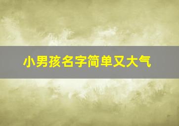 小男孩名字简单又大气