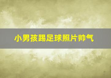 小男孩踢足球照片帅气