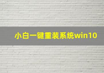 小白一键重装系统win10