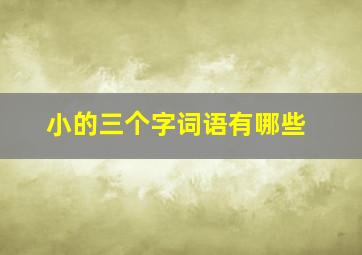 小的三个字词语有哪些