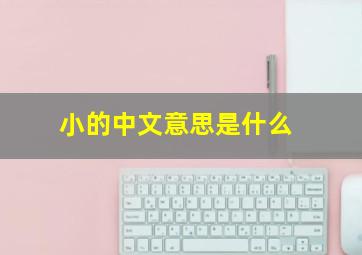 小的中文意思是什么