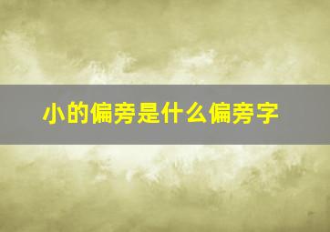 小的偏旁是什么偏旁字