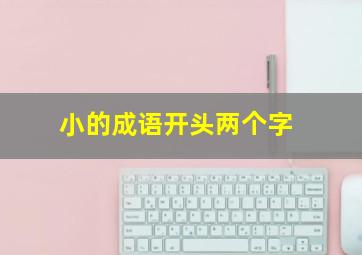 小的成语开头两个字