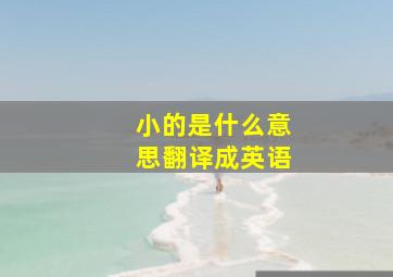 小的是什么意思翻译成英语