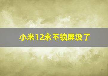 小米12永不锁屏没了