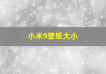 小米9壁纸大小