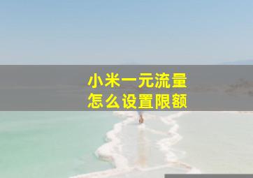 小米一元流量怎么设置限额