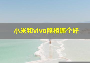 小米和vivo照相哪个好