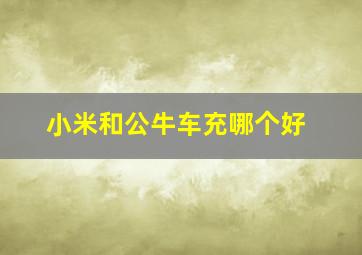 小米和公牛车充哪个好