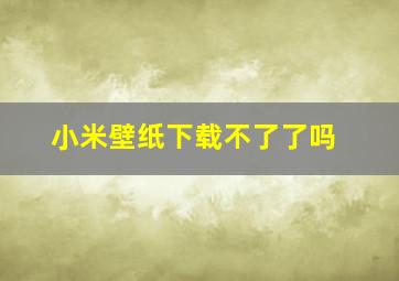 小米壁纸下载不了了吗