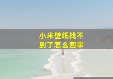 小米壁纸找不到了怎么回事