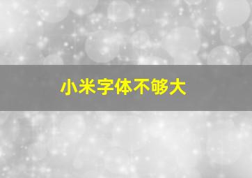 小米字体不够大