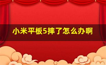 小米平板5摔了怎么办啊