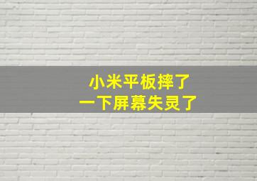 小米平板摔了一下屏幕失灵了